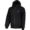 DICKIES Uomo Dickies Giacca New Sarpy