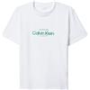 CALVIN KLEIN Donna Calvin Klein T-shirt Graphic Donna