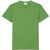 LACOSTE Uomo Lacoste T-shirt Logo In Cotone Pima Verde