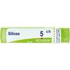 Boiron Silicea 5ch Granuli