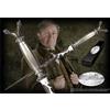 Noble Collection Gadget - Noble NN8294 - Harry Potter - Professeur Horace Slughorn (Bacchetta Mag