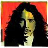 Chris Cornell, Soundgarden, Temple of the Dog Chris Cornell (CD) Deluxe Box Set