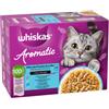 Whiskas 1+ Aromatic Delizie di mare in salsa cibo umido per gatti multipack (bustine 85 g) 1 confezione (12 x 85 g)