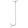 myWALL My Wall supporto a soffitto per TV LCD per schermi da 10" a 30" (25 - 76 cm), carico fino a 30 kg