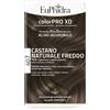ZETA FARMACEUTICI ColorPro 407 Castano Naturale Freddo EuPhidra Kit