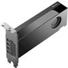 NVIDIA Quadro RTX PRO 2000 Blackwell 16GB GDDR7 4*Mini-DisplayPort PCi Ex 5.0 16x