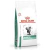 Royal Canin Veterinary Diet Feline Diabetic Secco Gatto 1,5kg