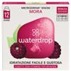 WATERDROP MICRODRINK GMBH Waterdrop Microdrink Mora 12 Cubetti 2 G