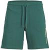 Jack & Jones Plus Jpstneo Sweat Shorts Pls Pantaloncini Uomo