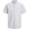 JACK & JONES Plus Size Camicia Relaxed Fit | Relaxed Fit, Maniche corte, Casual, Temperatura massima di 40°C ciclo delicato