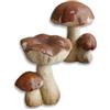 Loberon Coppia di Funghi Decorativi Beenie, Marrone |