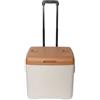 NonMiFyR Roller Carrello Frigo Portatile Borsa Termica Ghiacciaia con Ruote Scorrevoli E Manico Telescopico con Portabicchieri Nel Coperchio Adatto a Campeggio, Grigio+Marrone, 30L