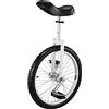 ZXFfhDHJH Monociclo, Fun Bike for Esercizi con bilanciamento delle Ruote da 20 Pollici for Adulti - Sedile Regolabile capacità di 150 kg
