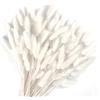 Songjum 120Pezzi Bunny Tails Bouquet Coda Di Coniglio Naturale Bouquet Di Fiori Secchi Di Erba Di Pampa per Fiori Secchi Decorazione Camino Casa Cucina Chiesa Tavolo Decorazione Boho Nozze Decor（Bianco）