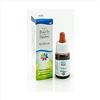 GUNA Willow Fiori Di Bach 38 Reattività E Comprensione 10 ml