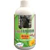 Union Bio Equitrauma Gel Sollievo Immediato, 500ml