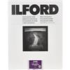 Ilford 1x 10 MG RC DL 44M 24x30