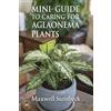 Maxwell Steinbeck A mini-guide to caring for Aglaonema plants (Tascabile)