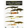 Peter Roberts Guide to the Reptiles and Amphibians of Britain and Ireland (Map)