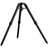 Skywatcher Sky-Watcher Treppiede in Carbonio per Wave 100i/150i