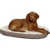 Kerbl Pet Materasso per cani in memory foam, morbido lettino ortopedico per cani, delicato sulle articolazioni e sulla colonna vertebrale, per il massimo comfort, lavabile, 100 x 65 x 8 cm,