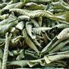 HELLOYOUNG Tè speciale di tisana alle erbe con foglie di guava biologica (500g)