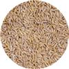 Generico AVENA DECORTICATA Mangime Zootecnico, Semi Selezionati Super Ventilati, 100% Vegetale No OGM, Qualità Premium per Animali da Allevamento, VAESEN-BELGIO 1kg