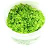 CO2 Art Tropica Micranthemum 'MonteCarlo' 1-2 CRESCE!
