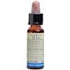 LABORATORIO ERBORISTICO DI LEO Fiori Di Bach 35 White Chestnut 10 Ml Di Leo
