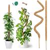 KJSXUUE 2 Supporti di Muschio di Cocco 90 cm | Supporto per Piante Rampicanti Epipremnum, Monstera | Kit con Legacci & Cordicella di Iuta