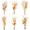 Songjum 6 mini bouquet di fiori secchi bohémien, decorazioni autunnali, mini piante naturali vere per matrimoni, centrotavola, confezione regalo, decorazione per torte, bottiglie, decorazioni per vasi per la