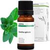 Aroma Labs Menta Verde BIO (Mentha spicata) - 10 mL - Olio Essenziale Chemiotipizzato e Certificato AB - Digestione & Benessere intestinale - Aroma Labs - Made in France