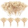 Songjum 70 mini fiori secchi per il respiro del bambino, 4000+ gipsophila naturale pressata, fiori secchi avorio, accessori per capelli e ghirlande nuziali