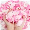 Songjum 240 petali di rosa rosa e bianchi, coriandoli per matrimonio, damigelle da lanciare da 60 ml, petali di rosa liofilizzati per proposte centrotavola, baby shower, San Valentino, decorazione romantica