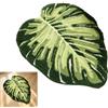 Qnbonrich Tappeto da bagno colorato, verde Monstera, colorato, per bagno, lavabile, antiscivolo, a forma di pianta tropicale, tappetino da bagno (60 x 90 cm)