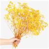 Songjum Breath del Bambino Essiccato Fiori Mazzo Naturale Fiori Essiccati Respiro del Bambino Real Gypsophila Branches per la Tavola di Nozze Vaso Partito Giardino DIY Corona floreale Home Decor (Yellow)