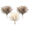 Songjum 36 Pezzi Pampas Grass Boho Decor Fluffy Pompas Grass Naturale Seccato Pampas Grass Piccolo Breve Pampass Bulk Boho Home Decor Wedding Decor Decorazione Tabella Decor (24Naturale + 12 Bianco)