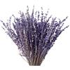 Songjum Lavanda Essiccata Fiori Secchi Lavanda Essiccati Per Decorazioni Fiori Lavanda Naturali Arredamento per La Casa Arredamento per Matrimoni per Ufficio Decorazioni per Feste Fai Da Te, 100g