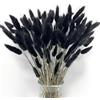 Songjum 120 code di coniglietto naturali, bouquet di erba secca Lagurus Ovatus, bouquet di erba secca per composizioni floreali, bouquet da sposa bohémien (nero)
