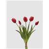 EDG Enzo De Gasperi Bouquet 5 Tulipani con Foglie H 40 Cm Red