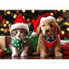 MOGTAA Natale Diamante Pittura per Adulti Principiante 5D Gatto e Cane Diamond Painting Completo Diamante Kit Animali Diamante Pittura Strass Punto Croce Cristallo per Murale Decor 30x40cm
