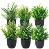 DUBUOZA Set di 6 Piante Finte da interno in Vaso, Pianta Finta Realistica, Piante Artificiali da interno, Piante Finte,per Casa Ufficio Tavolo Stanza Bagno Decorazione Interno