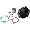 2EXTREME Cilindro + pistone 50cc compatibile per LONGJIA LJ50QT M 2Ter Minarelli AC 10mm, YAMAHA Neos 50 Tipo: SA15 5AD, MALAGUTI F12 Phantom 50 AC, MBK Ovetto 50-07