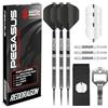 RED DRAGON Pegasus Switch Point - Powered by Winmau Darts | Punta in acciaio da 24 g | Set di freccette professionali all'80% in tungsteno | Esclusivo set di freccette Amazon con custodia