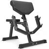 Marbo Sport - Panca Larry Scott MS-L107 2.0 - Panca palestra multifunzione per bicipiti e tricipiti - regolabile per allenamento fitness - Attrezzi palestra casa per esercizi e tonificazione