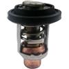 BUDZAVHIC 437090 Termostato Marino per Motori fuoribordo J-hnson E-inrude 185HP 200HP e 225HP 0437090 437090 0436174