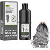 Alisvia Shampoo Colorante Grigio Argento, Hair Dye Shampoo, Tonalità Metallizzata Fredda Con Effetto Duraturo, Neutralizzatore Vegano Dei Riflessi Gialli, Detergenza Delicata E Blocco Cromatico