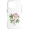 The Botany Bureau Custodia per iPhone 16 Pro Sensibile Pianta illustrazione Mimosa pudica