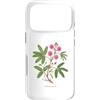 The Botany Bureau Custodia per iPhone 17 Pro Sensibile Pianta illustrazione Mimosa pudica