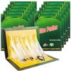 Phlognfy 10 trappole per scarafaggi, trappole per scarafaggi, 31,5 cm x 21 cm, per cucina, soggiorno e camera da letto